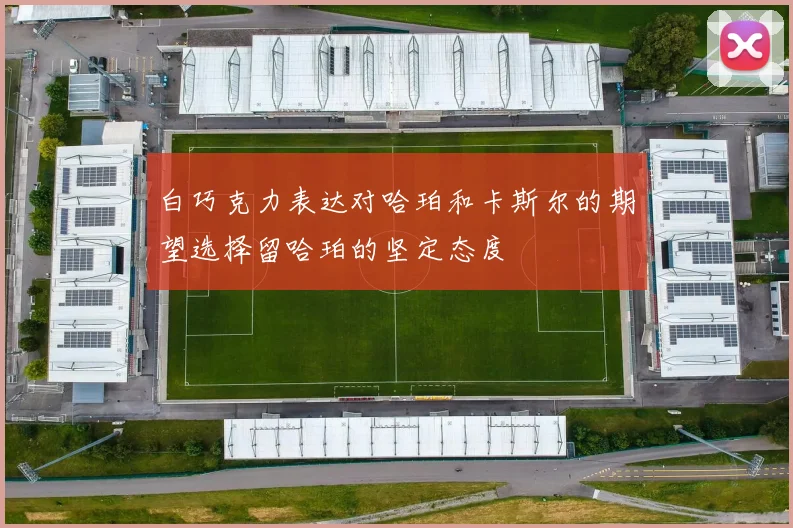 白巧克力表达对哈珀和卡斯尔的期望选择留哈珀的坚定态度